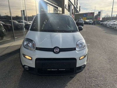 Fiat Panda Gebrauchtwagen