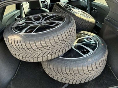 MG MG4 Gebrauchtwagen MG MG4 Gebrauchtwagen