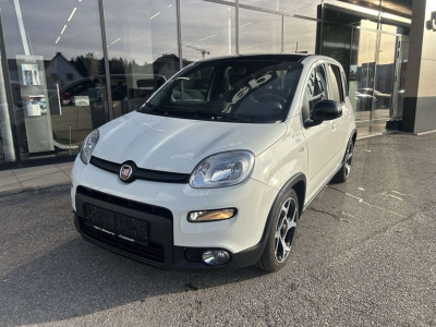 Fiat Panda Gebrauchtwagen Fiat Panda Gebrauchtwagen