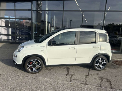 Fiat Panda Gebrauchtwagen Fiat Panda Gebrauchtwagen