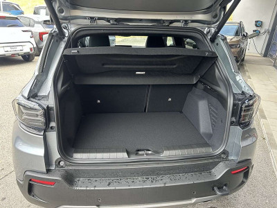 Jeep Avenger Tageszulassung