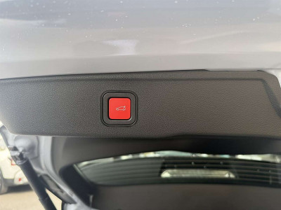 Jeep Avenger Tageszulassung