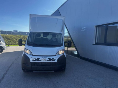 Fiat Ducato Neuwagen