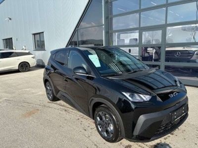BYD Dolphin Surf Neuwagen