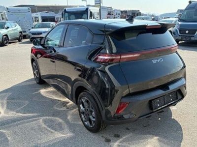 BYD Dolphin Surf Neuwagen