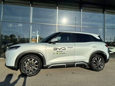 BYD Atto 2 Gebrauchtwagen