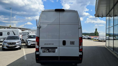 Fiat Ducato Tageszulassung