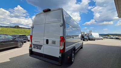Fiat Ducato Tageszulassung