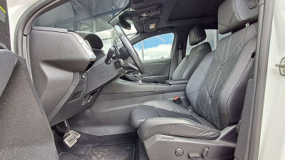 DS Automobiles DS 7 Gebrauchtwagen DS Automobiles DS 7 Gebrauchtwagen