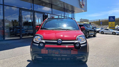 Fiat Pandina Vorführwagen Fiat Pandina Vorführwagen