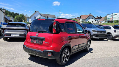 Fiat Pandina Vorführwagen Fiat Pandina Vorführwagen