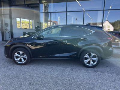 Lexus NX Gebrauchtwagen Lexus NX Gebrauchtwagen