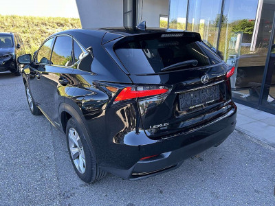 Lexus NX Gebrauchtwagen Lexus NX Gebrauchtwagen
