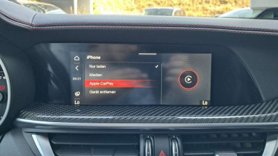 Alfa Romeo Stelvio Gebrauchtwagen