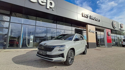 Skoda Karoq Gebrauchtwagen Skoda Karoq Gebrauchtwagen