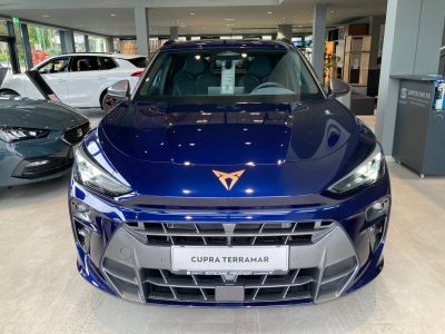 Cupra Terramar Gebrauchtwagen