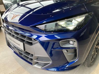 Cupra Terramar Gebrauchtwagen