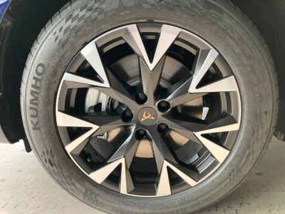 Cupra Terramar Gebrauchtwagen