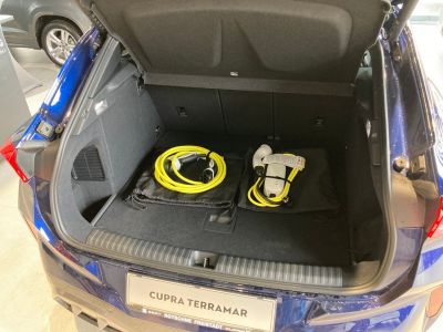 Cupra Terramar Gebrauchtwagen