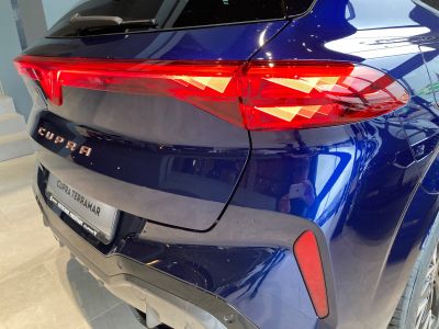 Cupra Terramar Gebrauchtwagen