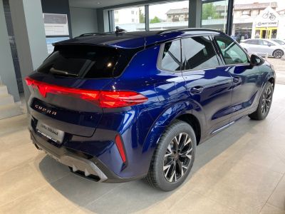 Cupra Terramar Gebrauchtwagen