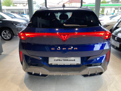 Cupra Terramar Gebrauchtwagen