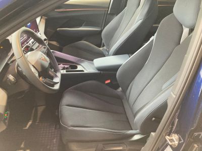 Cupra Terramar Gebrauchtwagen