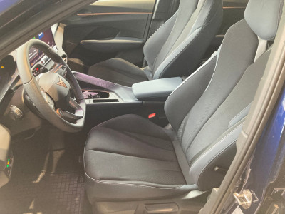 Cupra Terramar Gebrauchtwagen