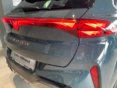Cupra Terramar Gebrauchtwagen Cupra Terramar Gebrauchtwagen