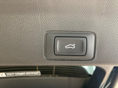 Cupra Terramar Gebrauchtwagen Cupra Terramar Gebrauchtwagen