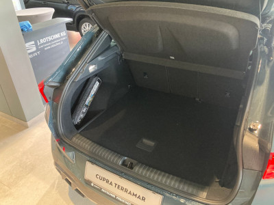 Cupra Terramar Gebrauchtwagen Cupra Terramar Gebrauchtwagen