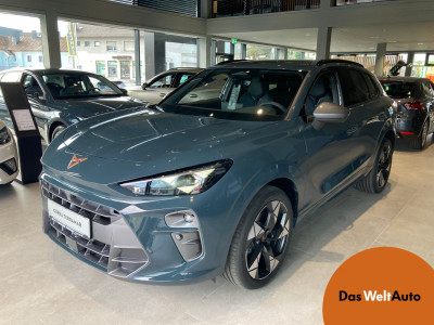 Cupra Terramar Gebrauchtwagen