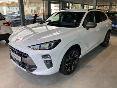 Cupra Terramar Gebrauchtwagen Cupra Terramar Gebrauchtwagen