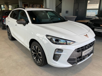 Cupra Terramar Gebrauchtwagen Cupra Terramar Gebrauchtwagen