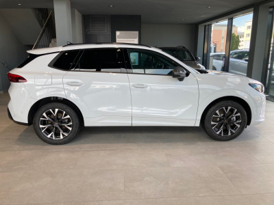 Cupra Terramar Gebrauchtwagen Cupra Terramar Gebrauchtwagen