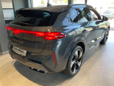 Cupra Terramar Gebrauchtwagen Cupra Terramar Gebrauchtwagen