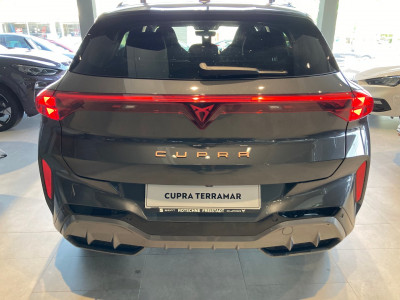 Cupra Terramar Gebrauchtwagen Cupra Terramar Gebrauchtwagen