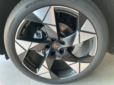 Cupra Terramar Gebrauchtwagen Cupra Terramar Gebrauchtwagen