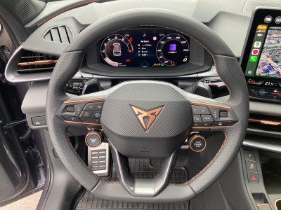 Cupra Terramar Gebrauchtwagen Cupra Terramar Gebrauchtwagen