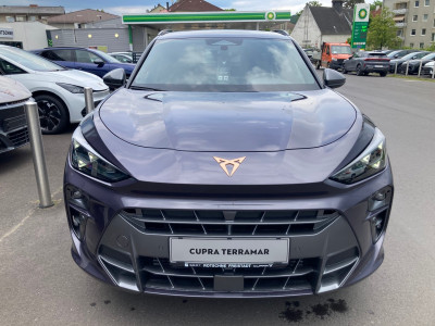 Cupra Terramar Gebrauchtwagen Cupra Terramar Gebrauchtwagen