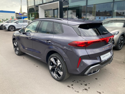 Cupra Terramar Gebrauchtwagen Cupra Terramar Gebrauchtwagen