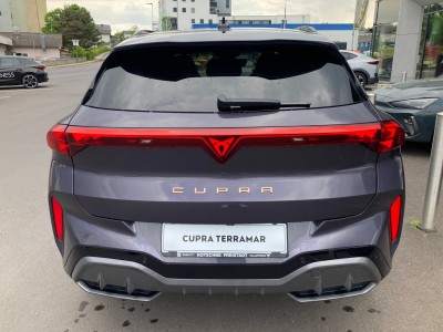 Cupra Terramar Gebrauchtwagen Cupra Terramar Gebrauchtwagen
