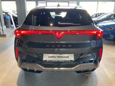 Cupra Terramar Gebrauchtwagen Cupra Terramar Gebrauchtwagen