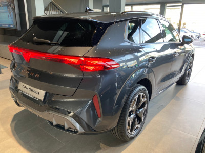 Cupra Terramar Gebrauchtwagen Cupra Terramar Gebrauchtwagen