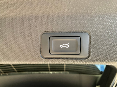 Cupra Terramar Gebrauchtwagen