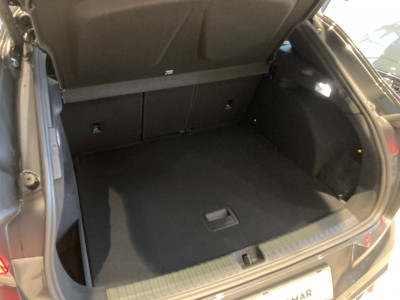 Cupra Terramar Gebrauchtwagen