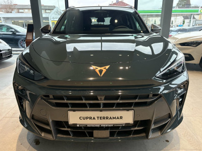 Cupra Terramar Gebrauchtwagen