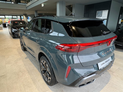 Cupra Terramar Gebrauchtwagen
