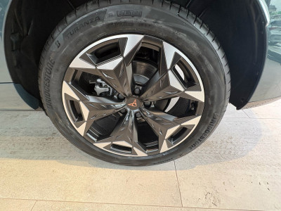 Cupra Terramar Gebrauchtwagen