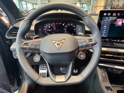 Cupra Terramar Gebrauchtwagen